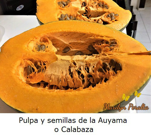 Pulpa y semillas de la Auyama o Calabaza